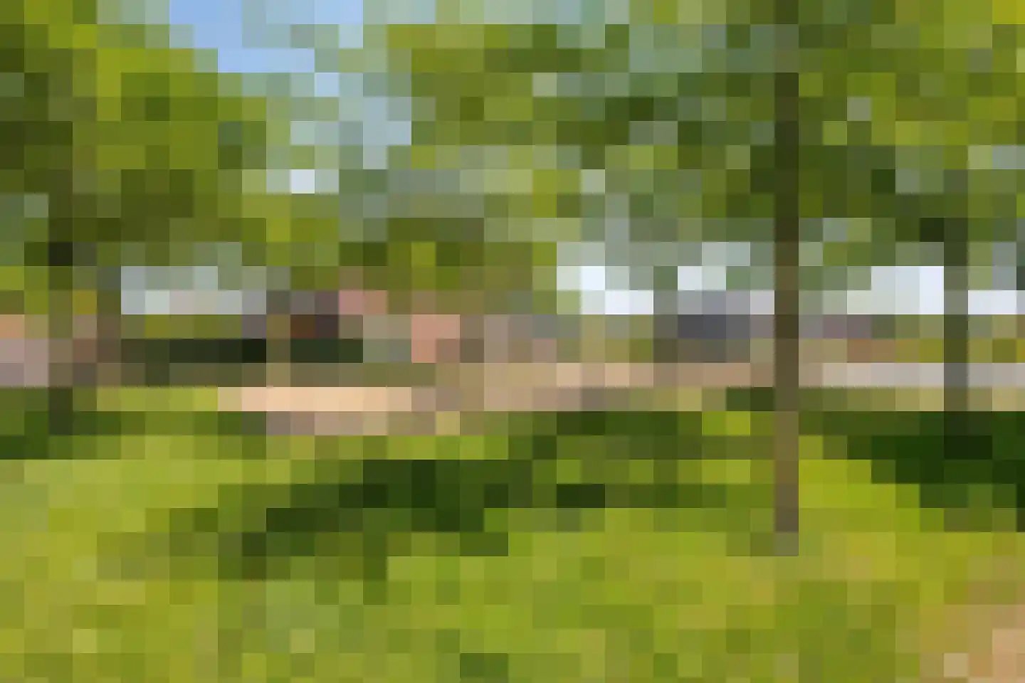 Blokvucht 33 Breda thumbnail 31