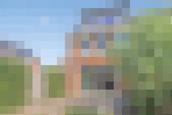 Blokvucht 69 Breda thumbnail 12