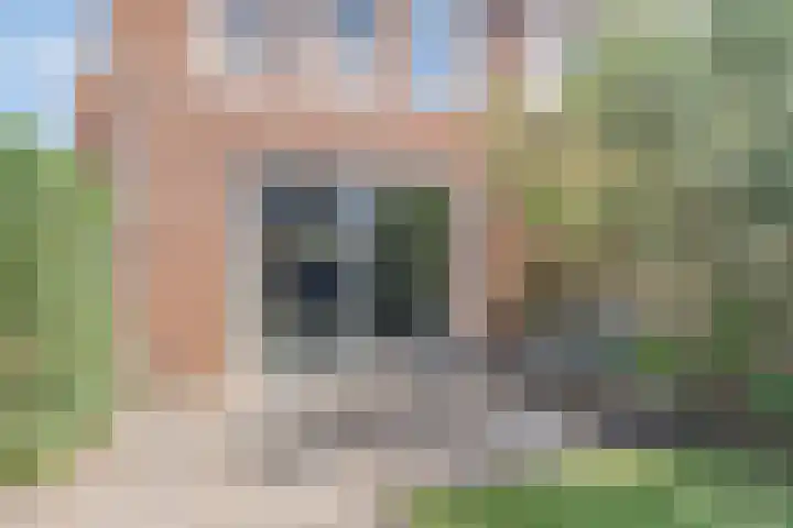 Blokvucht 69 Breda thumbnail 13