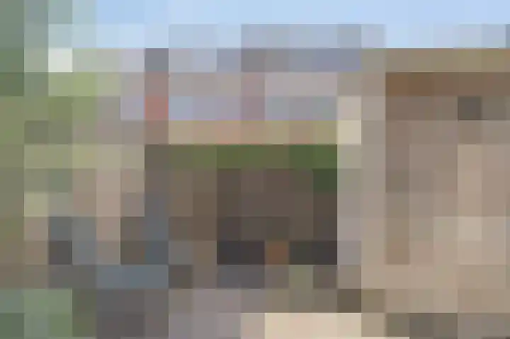 Blokvucht 69 Breda thumbnail 15