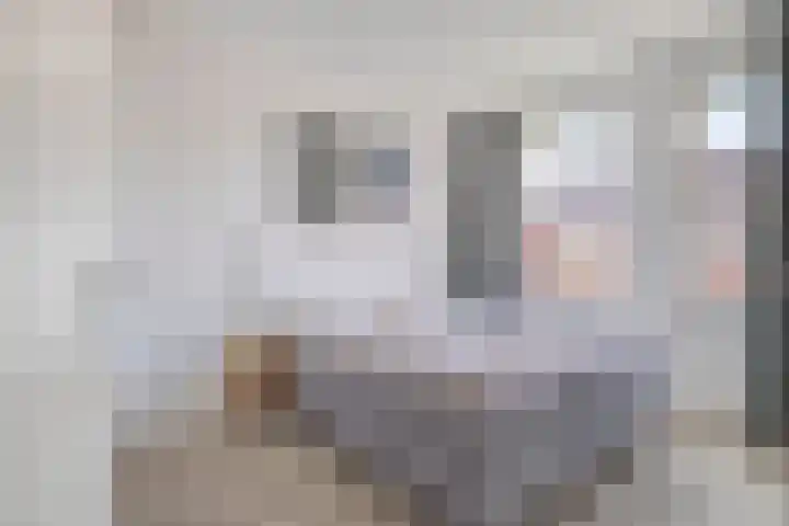 Blokvucht 69 Breda thumbnail 18