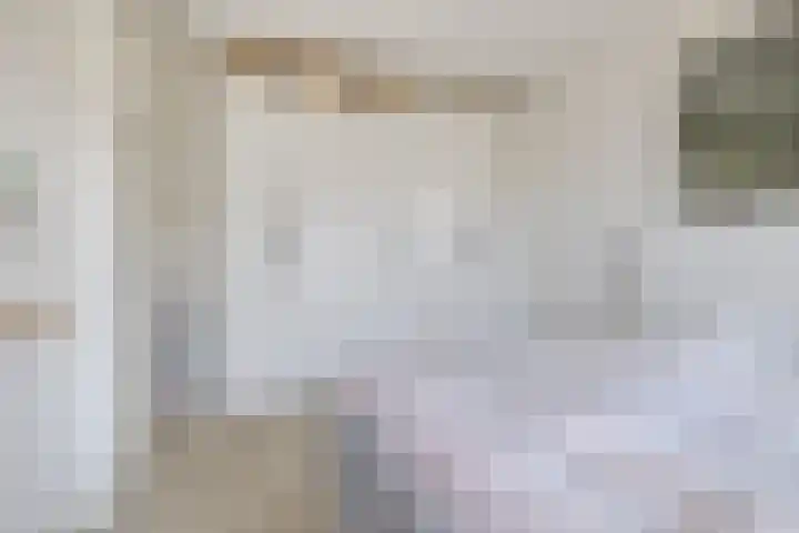 Blokvucht 69 Breda thumbnail 19