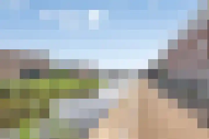Blokvucht 69 Breda thumbnail 27