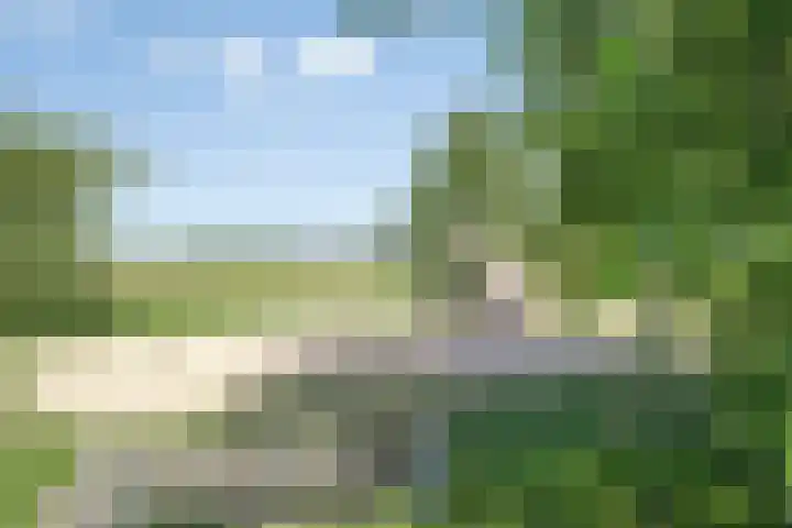 Blokvucht 69 Breda thumbnail 28