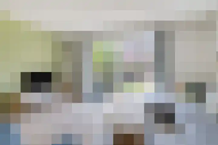 Blokvucht 69 Breda thumbnail 5