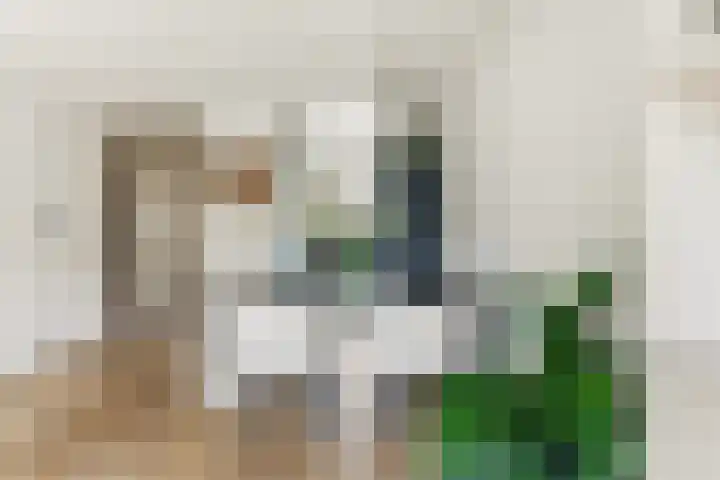 Blokweersingel 74 Alblasserdam thumbnail 13