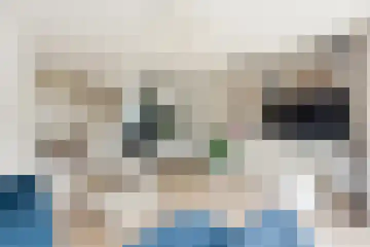 Blokweersingel 74 Alblasserdam thumbnail 9