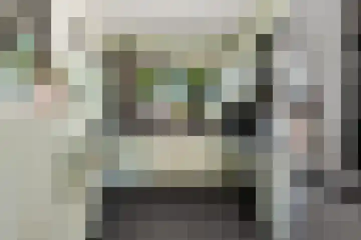 Blokweersingel 84 Alblasserdam thumbnail 14