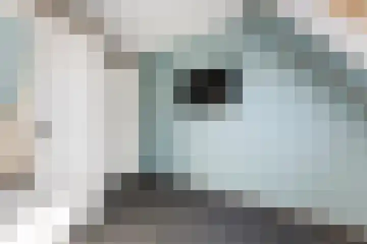 Blokweersingel 84 Alblasserdam thumbnail 21