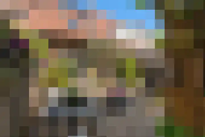Blokweersingel 84 Alblasserdam thumbnail 30