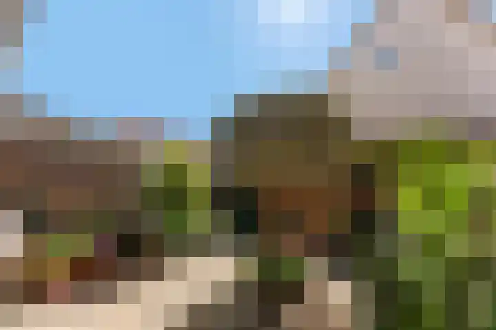 Blokweersingel 84 Alblasserdam thumbnail 31
