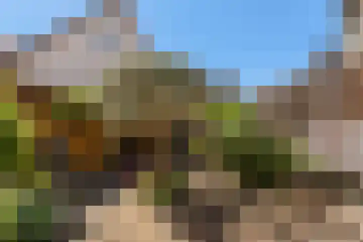 Blokweersingel 84 Alblasserdam thumbnail 32