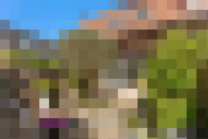 Blokweersingel 84 Alblasserdam thumbnail 34