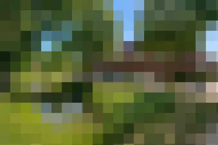 Blokweersingel 84 Alblasserdam thumbnail 37