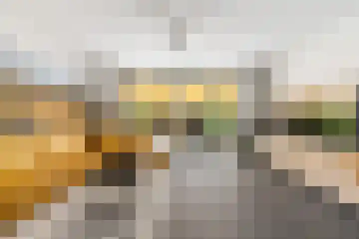 Blokweersingel 84 Alblasserdam thumbnail 4