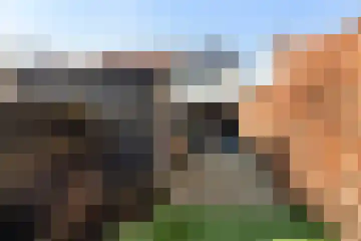 Blokweerweg 101 Alblasserdam thumbnail 30