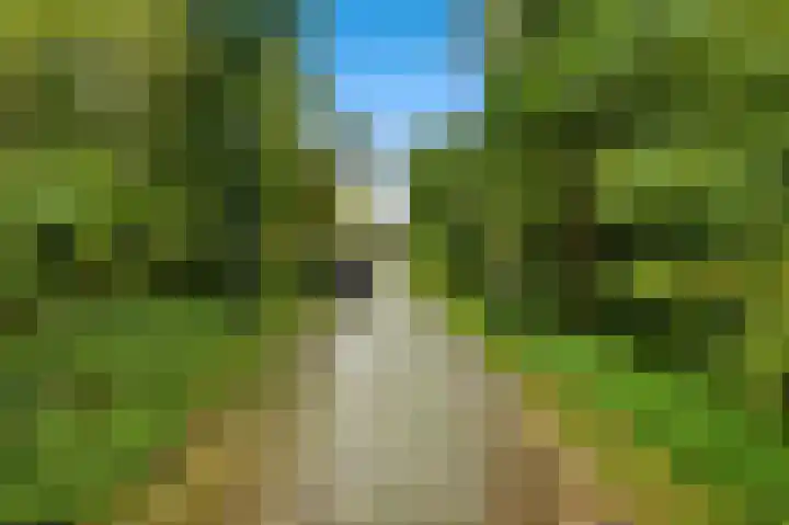Blokweerweg 16 Alblasserdam thumbnail 47
