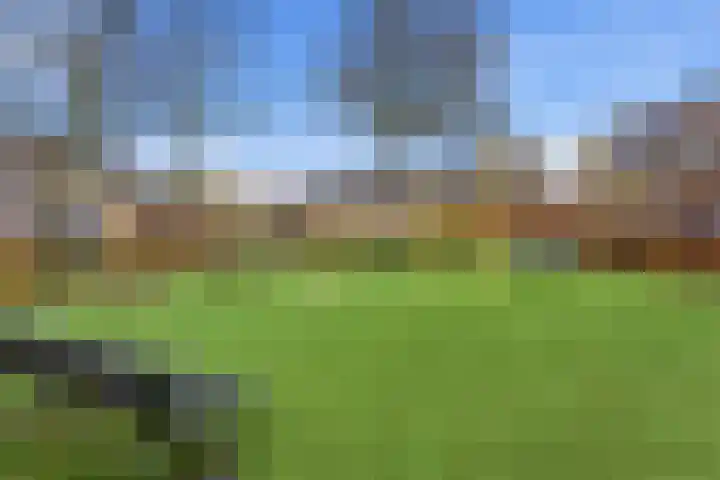 Blokweerweg 86 Alblasserdam thumbnail 40