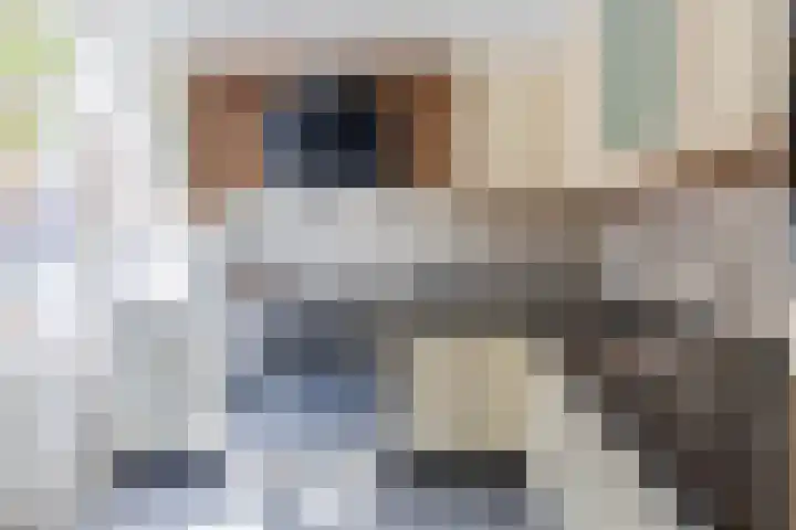 Blokweg 8 Rotterdam thumbnail 14