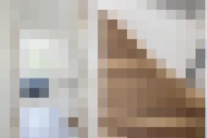 Blokweg 8 Rotterdam thumbnail 25