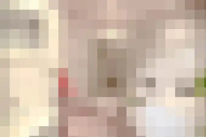 Blokweg 8 Rotterdam thumbnail 29