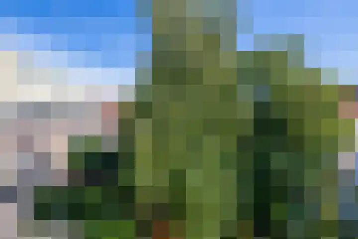 Blokweg 8 Rotterdam thumbnail 37