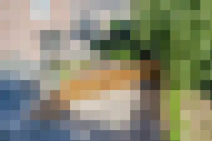 Blokweg 8 Rotterdam thumbnail 38
