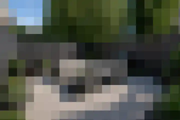 Blokweg 8 Rotterdam thumbnail 4