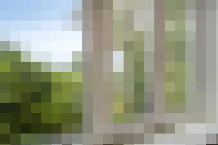 Blokzijlerdijk 25 Blankenham thumbnail 16