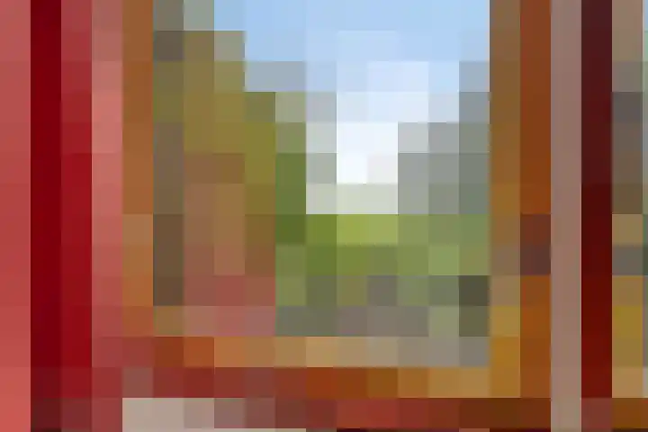 Blokzijlerdijk 25 Blankenham thumbnail 21