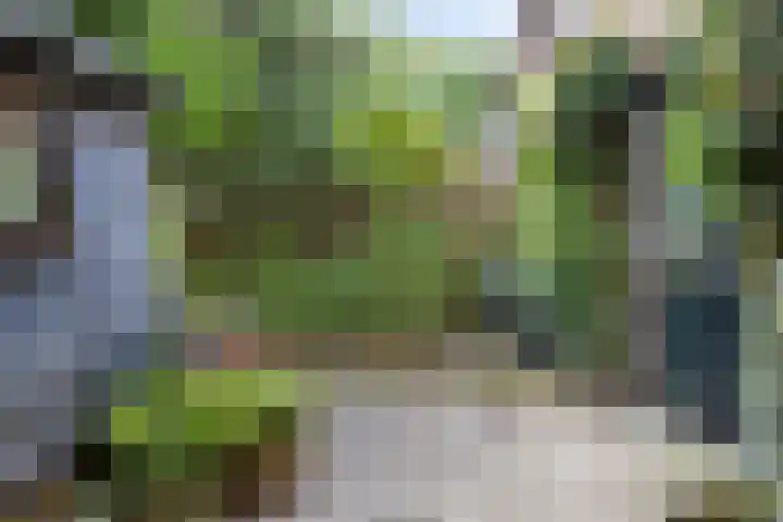 Blokzijlerdijk 25 Blankenham thumbnail 23