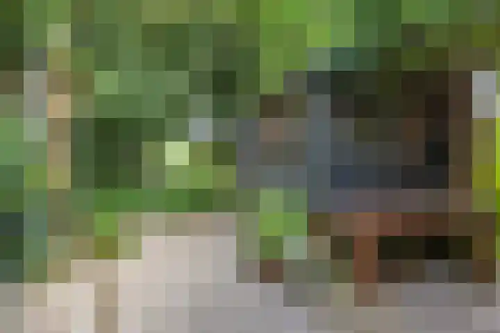 Blokzijlerdijk 25 Blankenham thumbnail 25
