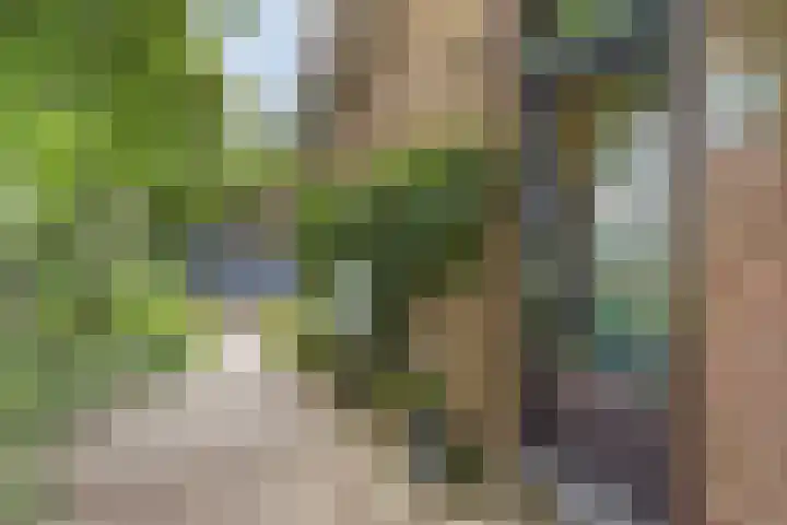 Blokzijlerdijk 25 Blankenham thumbnail 26