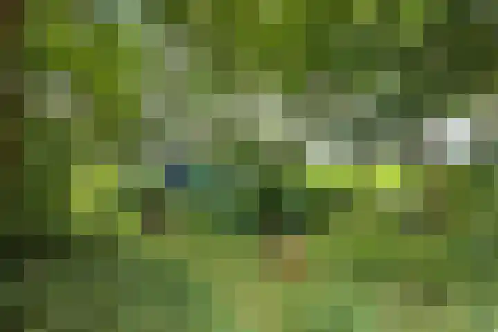 Blokzijlerdijk 25 Blankenham thumbnail 27