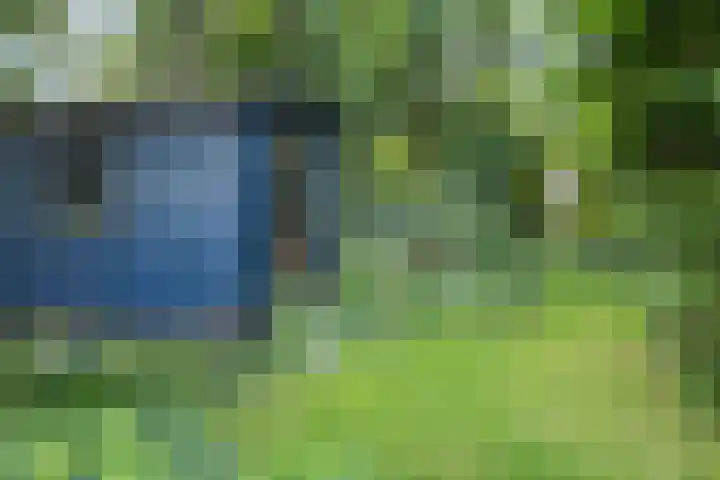 Blokzijlerdijk 25 Blankenham thumbnail 29