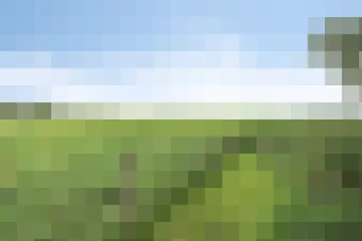 Blokzijlerdijk 25 Blankenham thumbnail 30