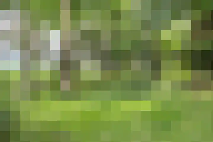 Blokzijlerdijk 25 Blankenham thumbnail 31