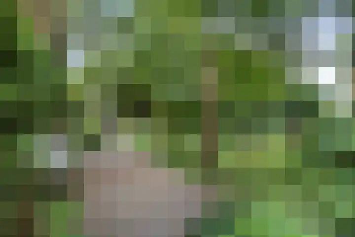 Blokzijlerdijk 25 Blankenham thumbnail 32