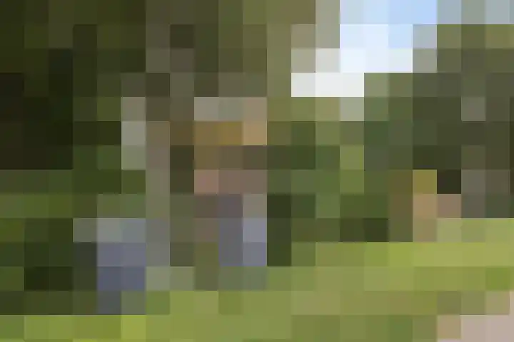 Blokzijlerdijk 25 Blankenham thumbnail 33