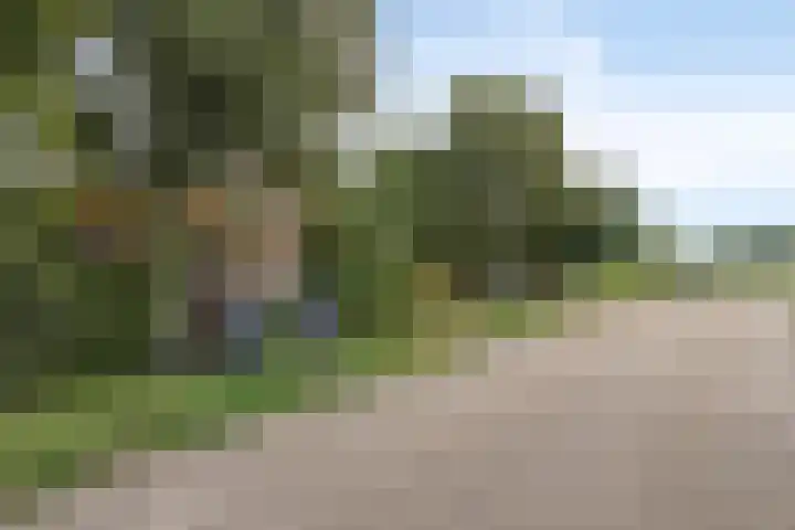 Blokzijlerdijk 25 Blankenham thumbnail 34