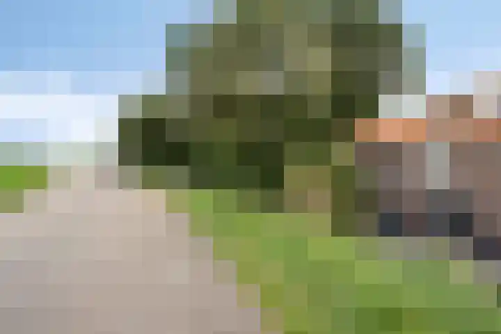 Blokzijlerdijk 25 Blankenham thumbnail 35