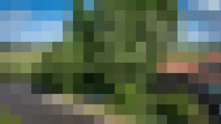 Blokzijlerdijk 25 Blankenham thumbnail 36