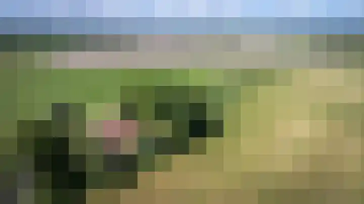 Blokzijlerdijk 25 Blankenham thumbnail 40