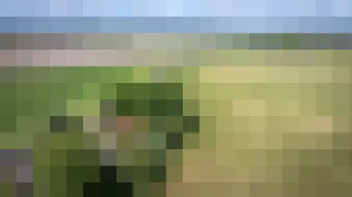 Blokzijlerdijk 25 Blankenham thumbnail 41