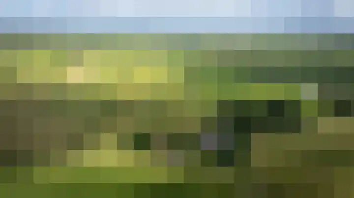 Blokzijlerdijk 25 Blankenham thumbnail 48