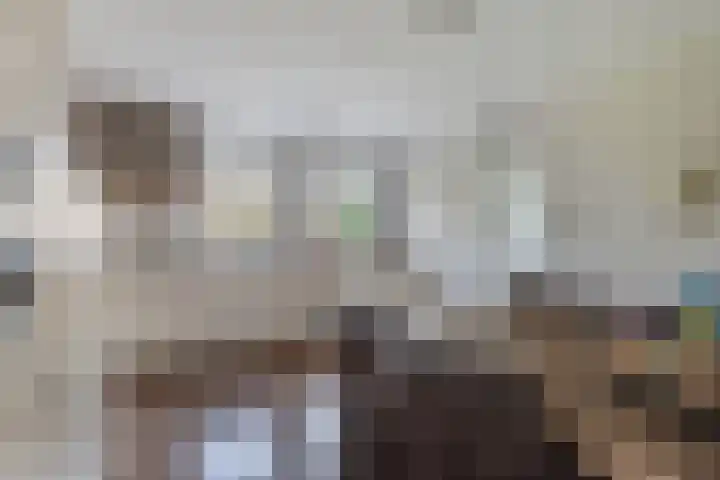 Blokzijlerdwarsweg 11 Marknesse thumbnail 11