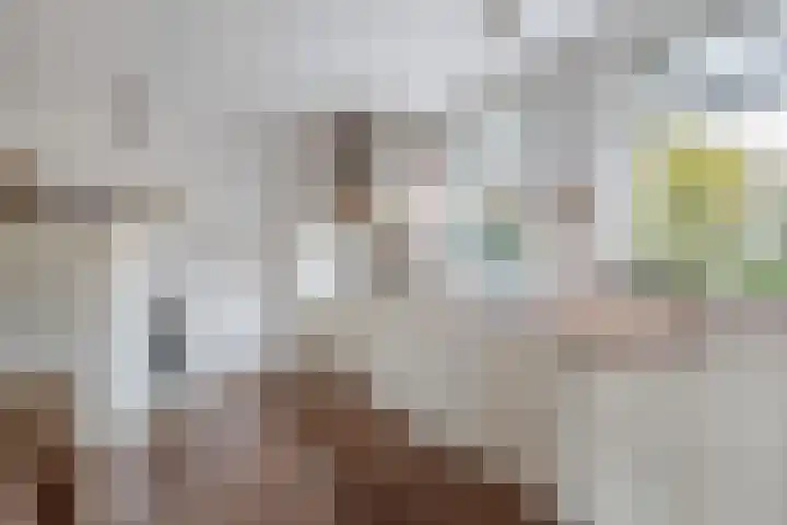 Blokzijlerdwarsweg 11 Marknesse thumbnail 12