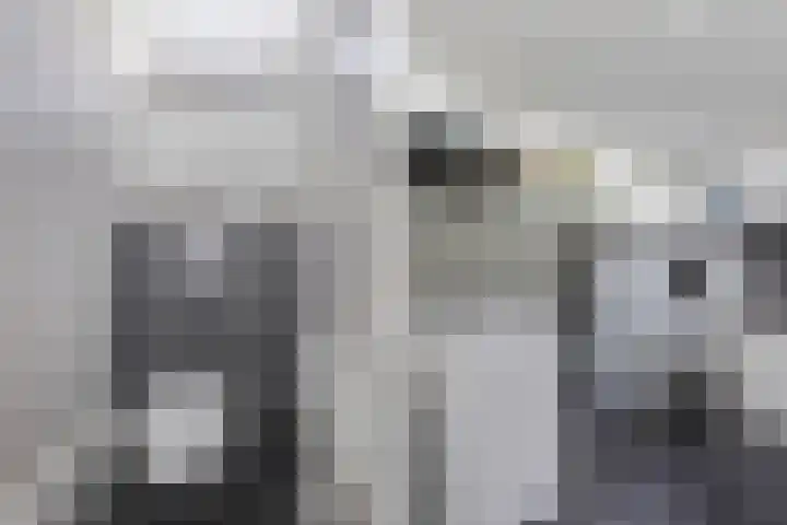 Blokzijlerdwarsweg 11 Marknesse thumbnail 14