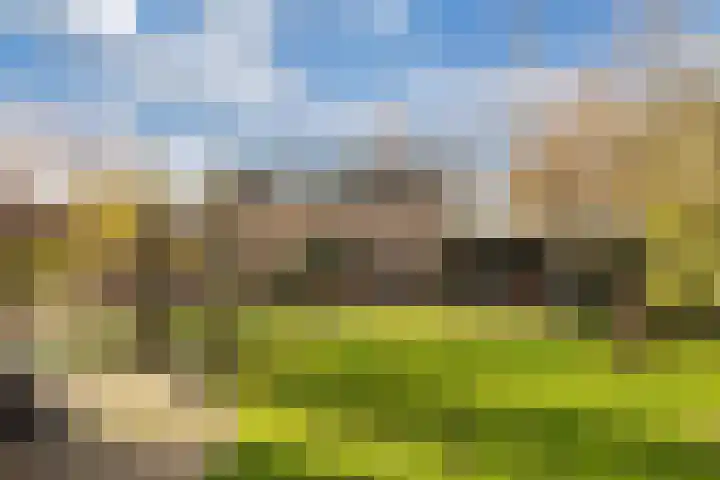 Blokzijlerdwarsweg 11 Marknesse thumbnail 16