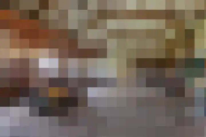 Blokzijlerdwarsweg 11 Marknesse thumbnail 17